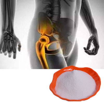 공동 건강 상태를 위한 GMP 공장 USP43 글루코사민 HCL